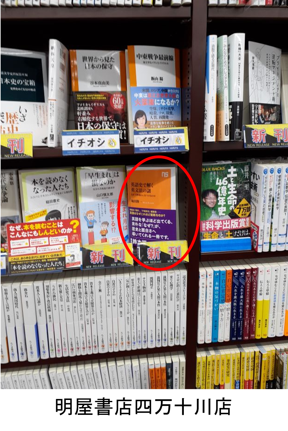 明屋書店四万十川店